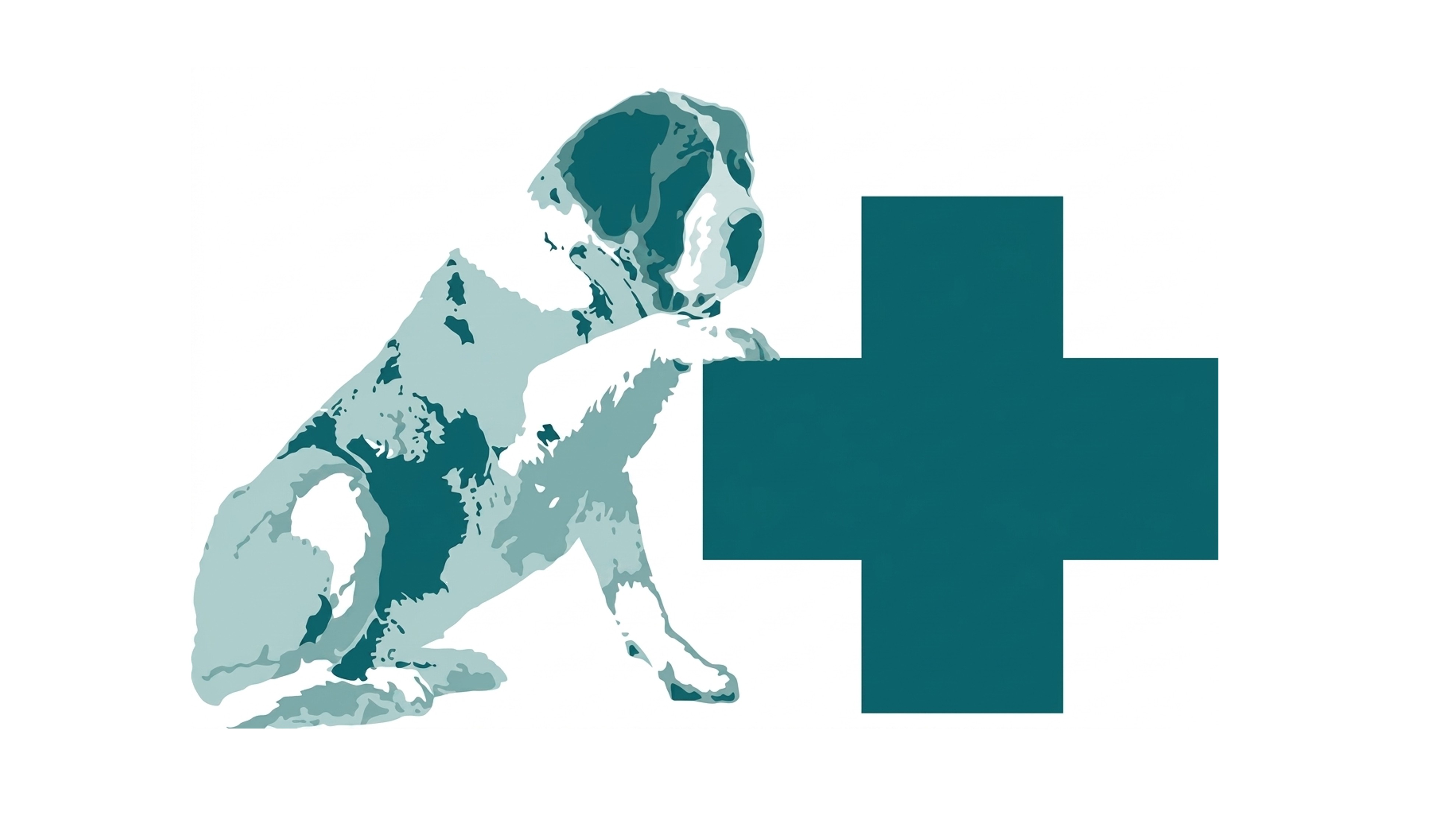 Centro Veterinario Aldaia