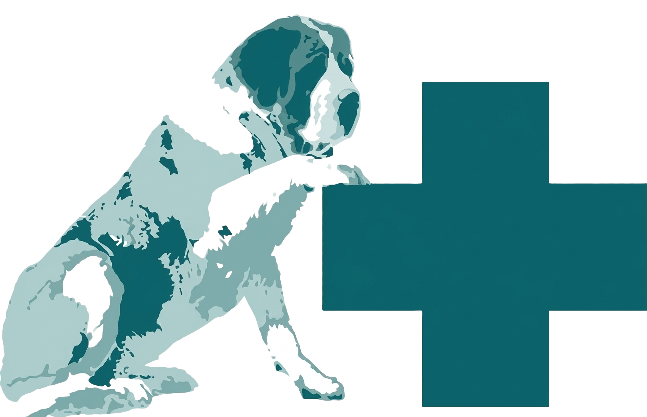 Centro Veterinario Aldaia